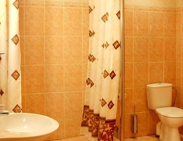 Улучшенный 2-комнатный (Дача №3,5,6,) - Санаторий «Юбилейный» Зеленая Поляна